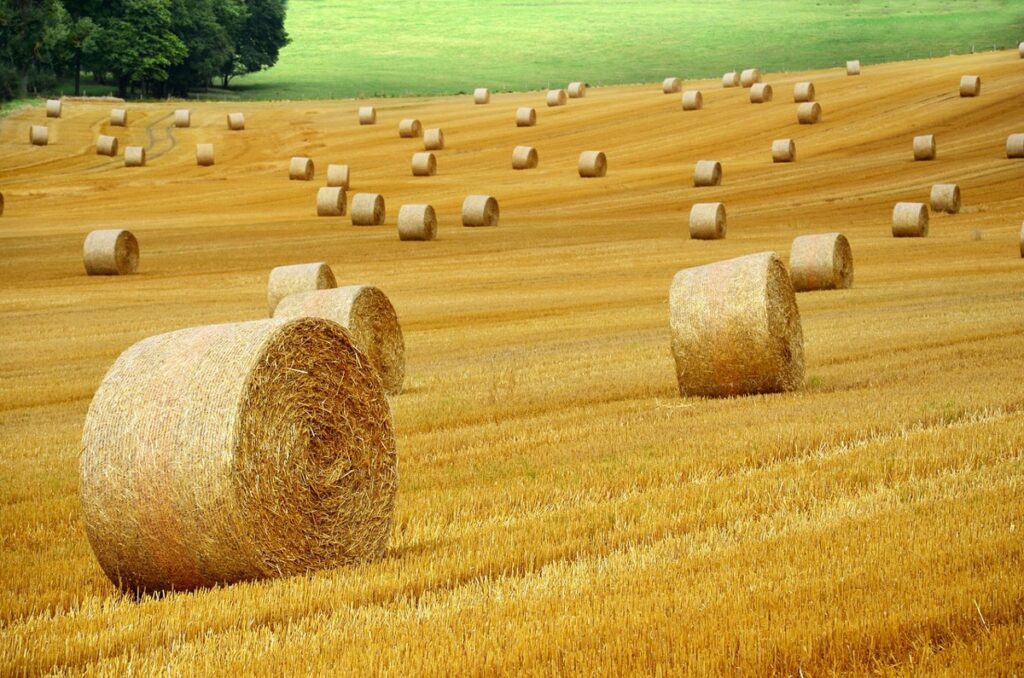LAZIO ECONOMY - Agricoltura di precisione